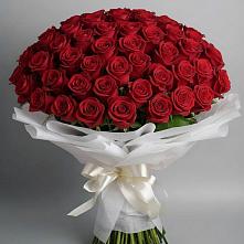 Букет 101 Красная роза Блэк Мэджик в Задонье