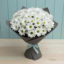 Букет цветов из:  Хризантемы в Задонье