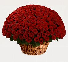 Премиум букет из: Розы в Задонье